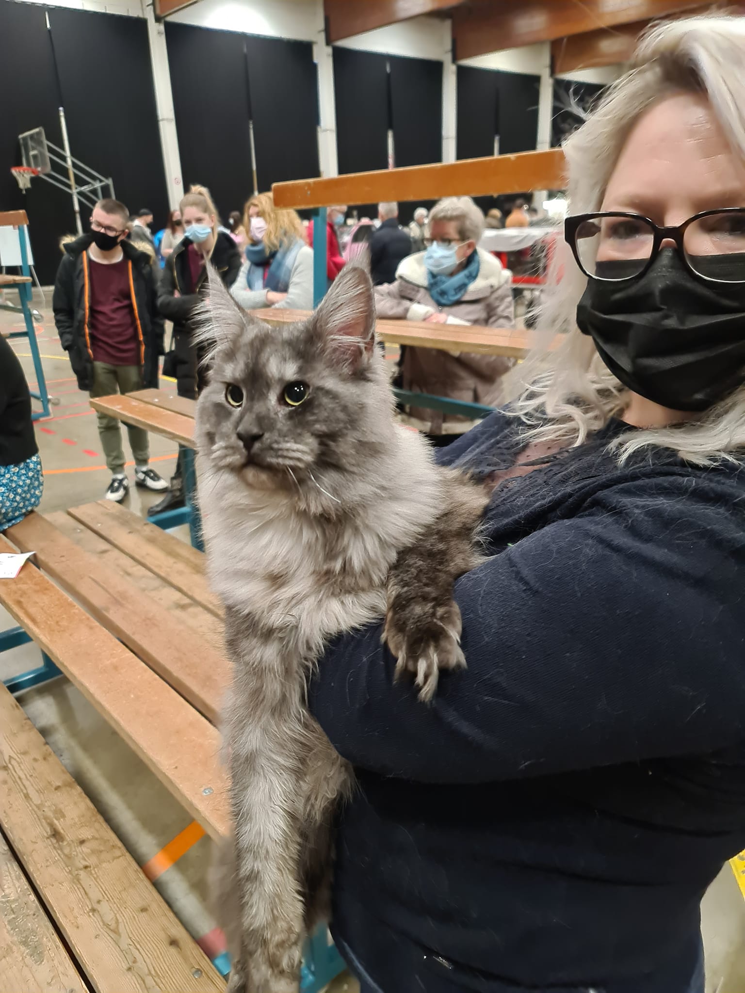International Cat Show Quievrain 2021